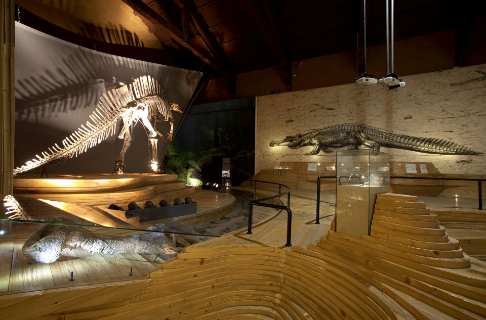 Venice: Natural History Museum Entry Ticket - Price and timing: how to plan around opening hours and the Venice Access Fee