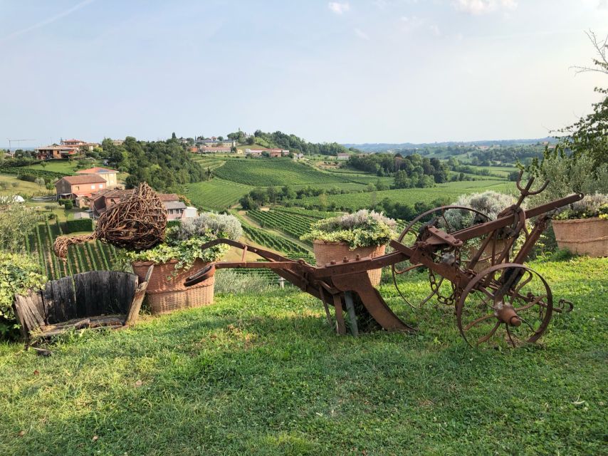 Venice: Prosecco Hills Wineries Tour with Tastings and Lunch - Key highlights at a glance