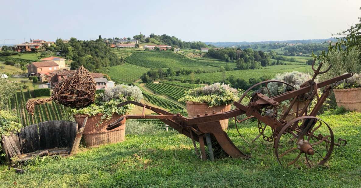 Venice: Prosecco Hills Wineries Tour with Tastings and Lunch - Venice to Conegliano by train: the first win