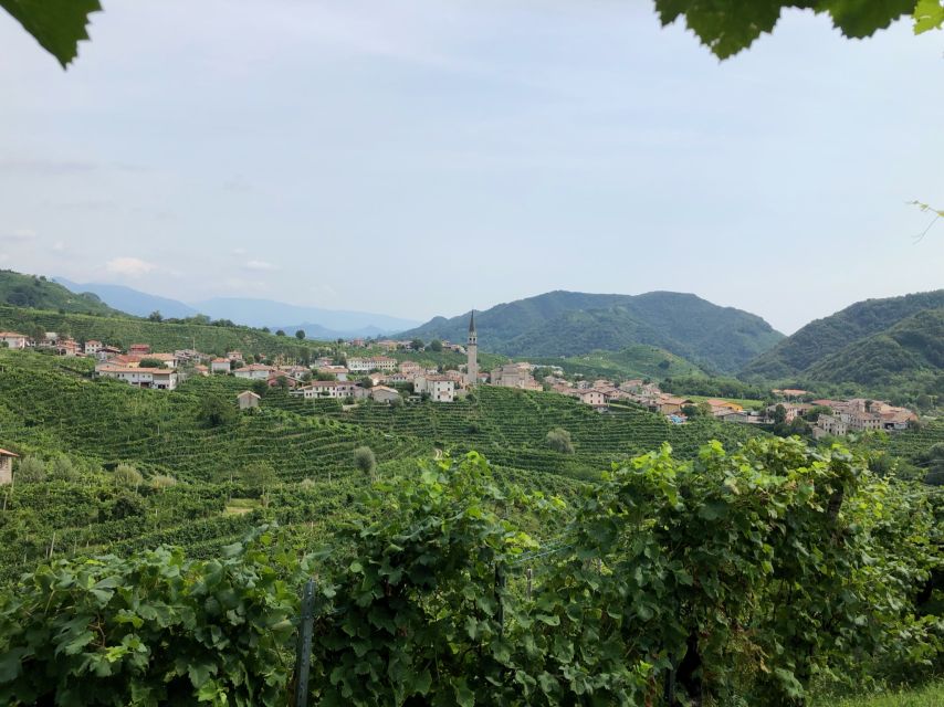 Venice: Prosecco Hills Wineries Tour with Tastings and Lunch - Winery stop one: Prosecco making, hillside views, and four tastings