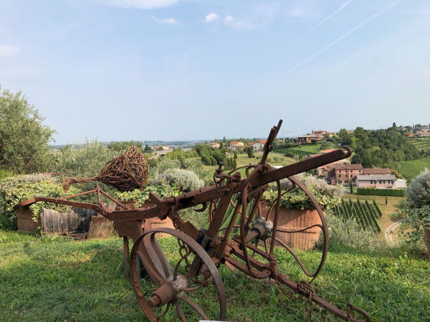 Venice: Prosecco Hills Wineries Tour with Tastings and Lunch - Aperitivo in the hills: birdsong, vineyards, and a breather