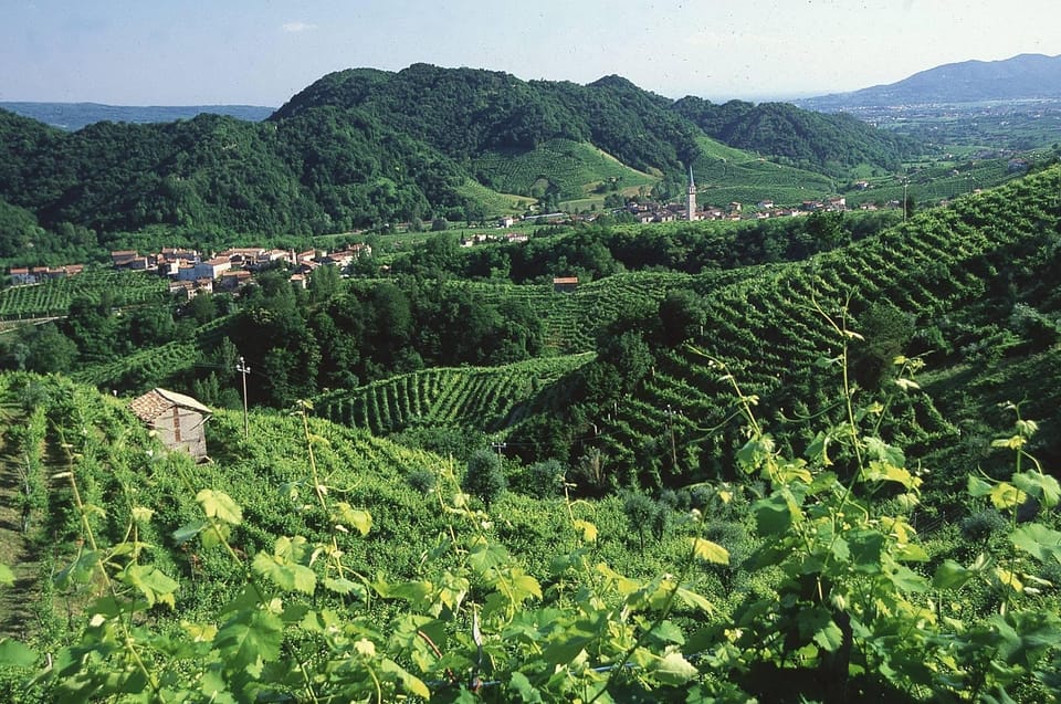 Venice: Prosecco Hills Wineries Tour with Tastings and Lunch - Lunch at the family-owned Osteria: spiedo by the fire