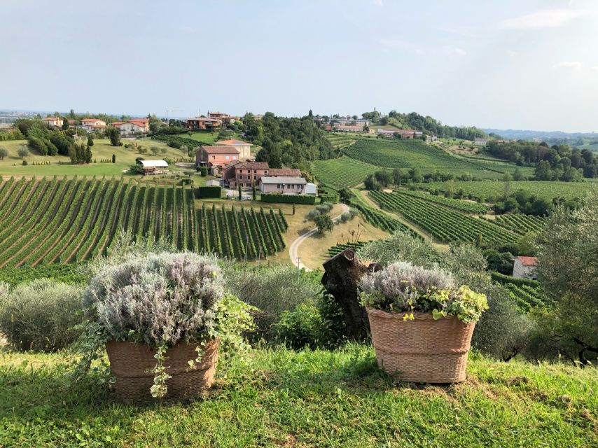 Venice: Prosecco Hills Wineries Tour with Tastings and Lunch - Winery stop two: DOCG Prosecco and the twist of older vines