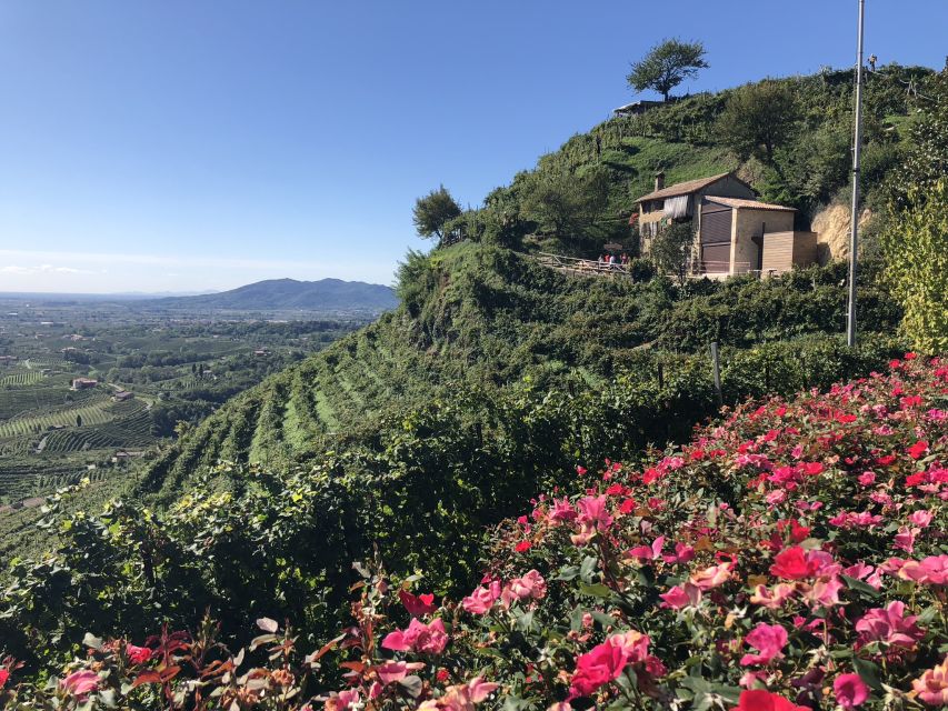 Venice: Prosecco Hills Wineries Tour with Tastings and Lunch - What you actually learn from all those tastings