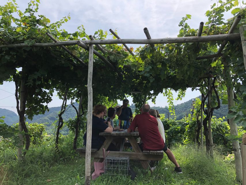 Venice: Prosecco Hills Wineries Tour with Tastings and Lunch - Who should book this Prosecco Hills tour from Venice