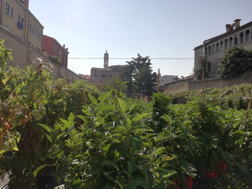 Venice: Secret City Gardens Walking Tour - Key highlights I’d target on this tour