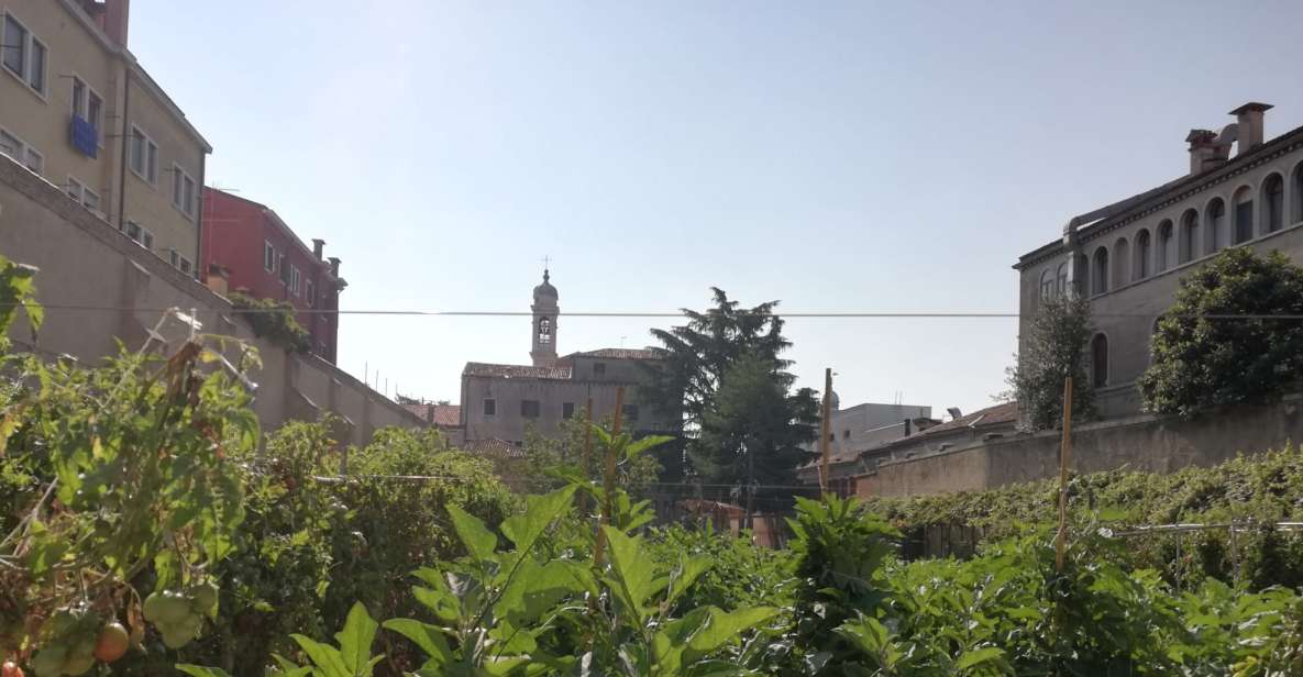 Venice: Secret City Gardens Walking Tour - Start at Fondamenta Gasparo Contarini: the meeting point that keeps it simple