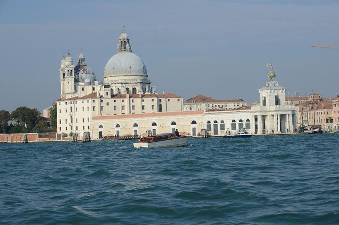 Venice Shared Arrival Transfer: Marittima Cruise Port to Central Venice - Where to check in at the cruise terminal (Alilaguna desk details)