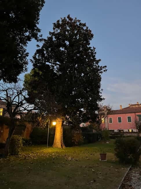 Venice: Sunrise Walking Tour with Espresso - Why the 6:45 start makes St Mark’s Square feel like a different city