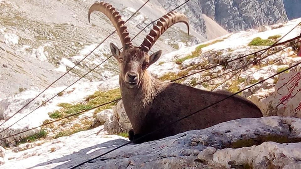 VENICE : Tour of Dolomites Unesco - Price and value: does $169.93 make sense for a guided Dolomites day?