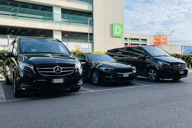 Venice (water taxi) to Venice Airport (VCE) - Departure Transfer - The Van Leg to Marco Polo Airport: Clean, Licensed, and Weather-Ready