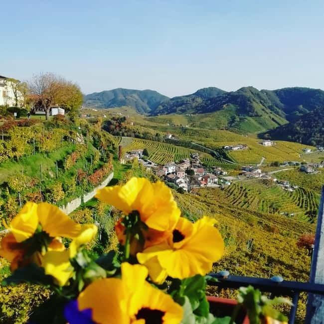 Venice: wine tour tasting along the Unesco Prosecco hills - Key highlights on the UNESCO Prosecco hills