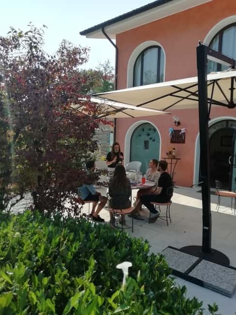 Venice: wine tour tasting along the Unesco Prosecco hills - Second stop near Conegliano: vineyard walk and another DOCG tasting