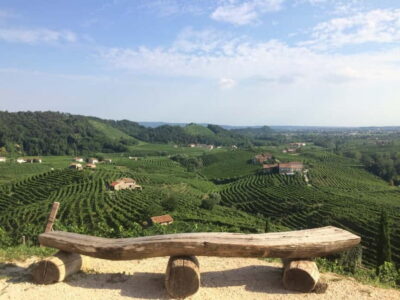 Venice: wine tour tasting along the Unesco Prosecco hills - First winery in Valdobbiadene: family property, cellar time, and paired tastings