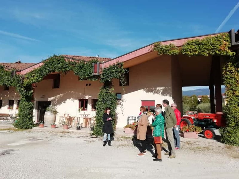 Venice: wine tour tasting along the Unesco Prosecco hills - Transport and the kind of guide experience you should expect
